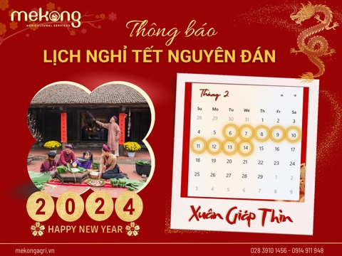 Mekong thông báo lịch nghỉ Tết Nguyên đán - Giáp Thìn 2024