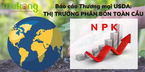 TỔNG HỢP BÁO CÁO THƯƠNG MẠI CỦA USDA