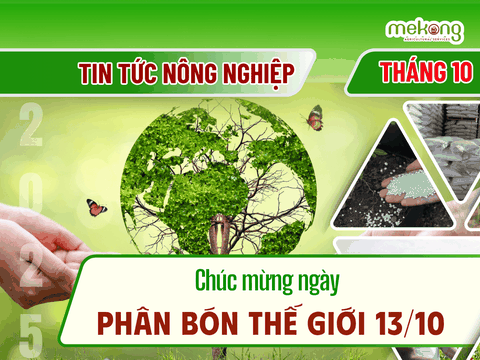 Chúc mừng Ngày Phân bón Thế giới 13/10