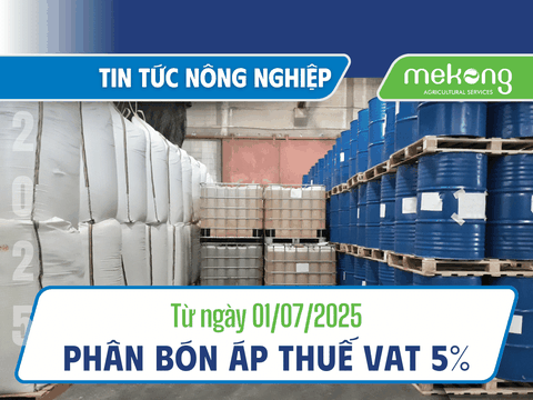 Từ ngày 01/07/2025 phân bón chính thức áp dụng Thuế Giá Trị Gia Tăng 5%