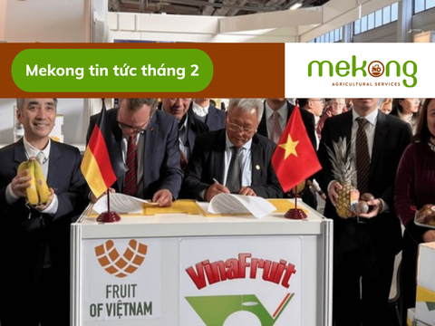 Việt Nam tham dự Hội chợ FRUIT LOGISTICA 2023