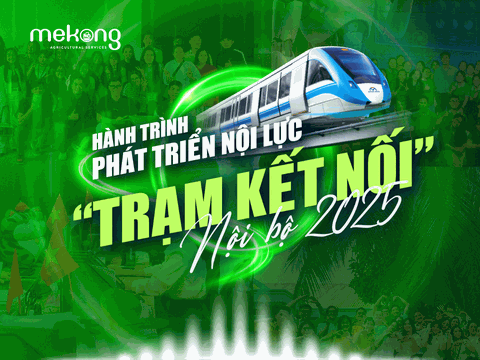 Hành trình phát triển nội lực - “Trạm kết nối