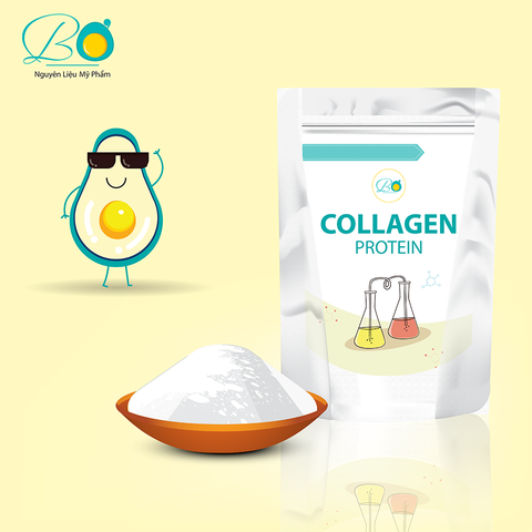 Collagen Protein