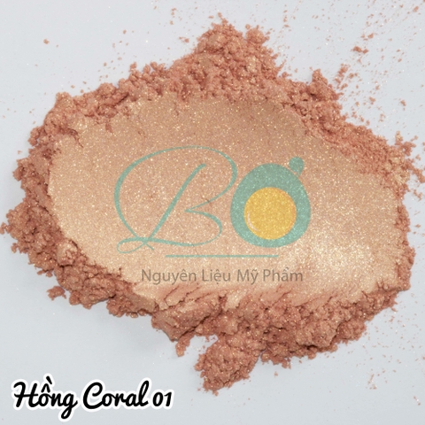 Hồng Coral 01