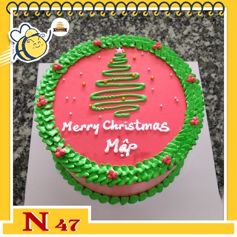 Bánh sinh nhật noel đẹp mừng giáng sinh N47