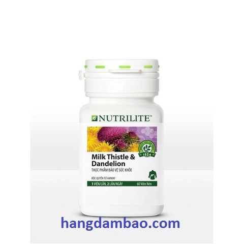 Thực phẩm chức năng bảo vệ gan Nutrilite Milk Thistle & Dandelion