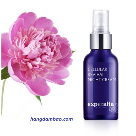 Kem dưỡng phục hồi ban đêm Experalta Platinum Cellular Revival Night Cream
