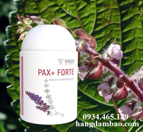 Pax+ Forte - Sản phẩm Vision chống căng thẳng thần kinh