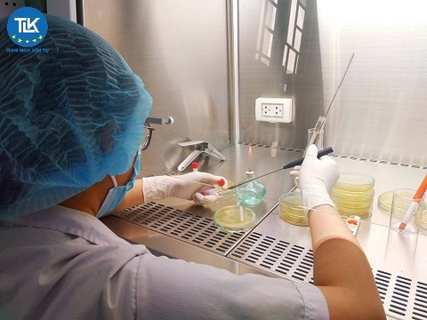 Quy trình kiểm nghiệm thực phẩm chức năng theo chuẩn pháp luật 2026