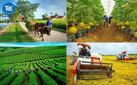 HỆ THỐNG NGÀNH KINH TẾ VIỆT NAM TỪ NGÀY 15/11/2025