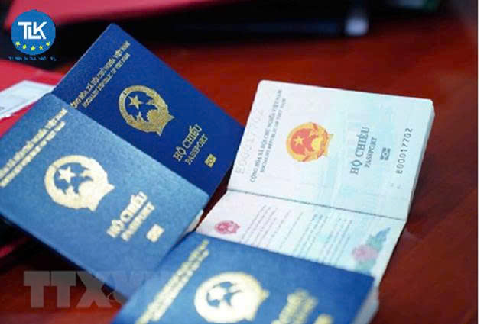 Khi nào được gia hạn giấy phép lao động? Khi nào phải xin cấp mới?