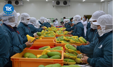 Trình tự kiểm tra an toàn thực phẩm với thực phẩm nhập khẩu từ 26/01/2026