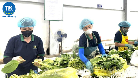 THỦ TỤC CẤP GIẤY CHỨNG NHẬN ĐĂNG KÝ QUỸ HỢP TÁC XÃ ĐỊA PHƯƠNG THEO MÔ HÌNH HỢP TÁC XÃ