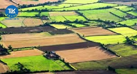 Hồ sơ xin thuê đất dự án đầu tư tại Bắc Ninh gồm những gì? | Công ty Luật TLK