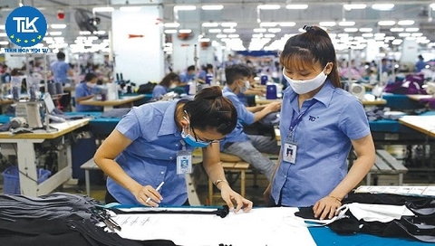 So sánh hợp quy theo lô và hợp quy theo kiểu mẫu: Khác nhau thế nào? Cách chọn hình thức tiết kiệm chi phí (2026)