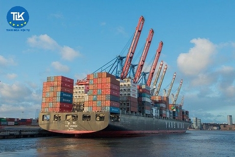 Xử phạt khi hoạt động dịch vụ đại lý vận tải đường biển không đúng quy định