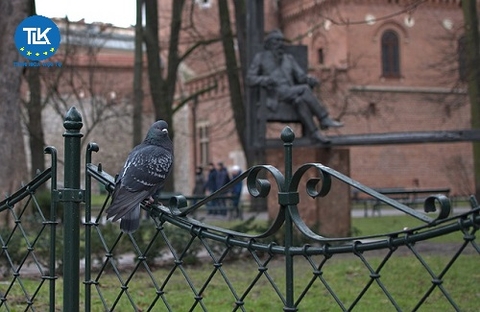 Doanh nghiệp FDI tại Hà Nội phải lập hồ sơ giao dịch liên kết khi nào?