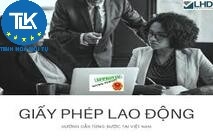 CẤP GIẤY PHÉP LAO ĐỘNG CHO NGƯỜI NƯỚC NGOÀI VÀO LÀM VIỆC TẠI VIỆT NAM THEO HÌNH THỨC HỢP ĐỒNG LAO ĐỘNG?