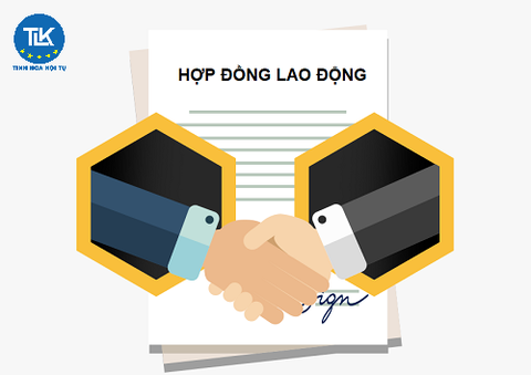 Luật sư có thể soạn thảo những loại hợp đồng nào cho doanh nghiệp? Danh mục đầy đủ – TLK