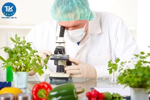 Điều kiện công bố sản phẩm thực phẩm chức năng (Cập nhật 2026)