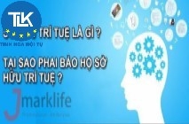 THỦ TỤC CHUYỂN GIAO QUYỀN SỬ SỤNG GIỐNG CÂY TRỒNG ĐƯỢC BẢO HỘ THEO QUYẾT ĐỊNH BẮT BUỘC