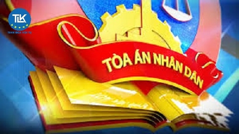 Luật sư bào chữa cho người quản lý doanh nghiệp tại phiên tòa sơ thẩm TP. Hồ Chí Minh (MỚI NHẤT)