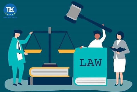 Dịch vụ pháp chế doanh nghiệp tại Ninh Bình | Công ty Luật TLK