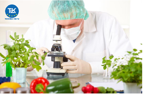 Thủ tục kiểm nghiệm chất lượng thực phẩm nhập khẩu trước khi công bố