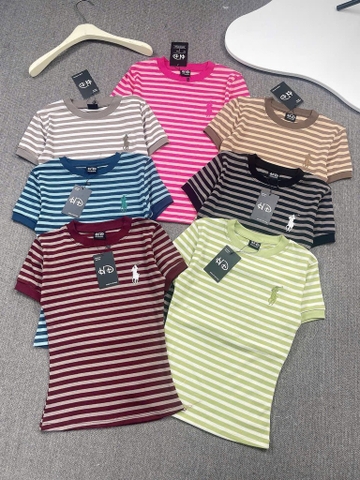 Áo thun ôm thêu ngựa - Form vừa