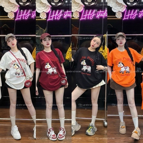 Áo thun ngựa cute - Form rộng dưới 65kg