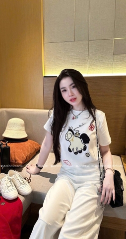Áo thun ngựa thêu