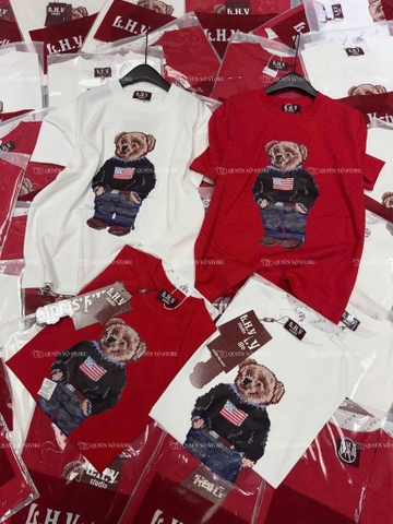 Áo thun gấu teddy - Form rộng dưới 65kg