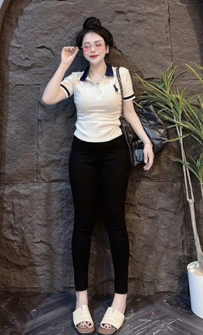 Áo thun cổ bẻ thêu ngựa - Form vừa