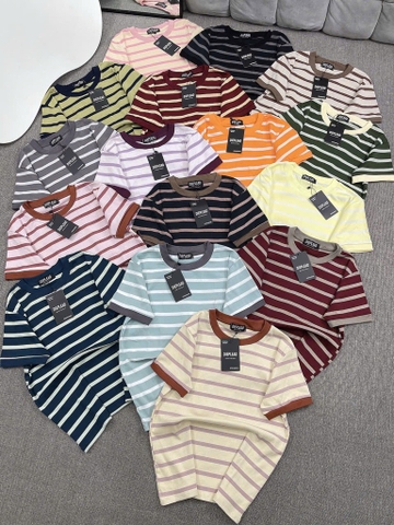 Áo thun sọc trơn - Form vừa