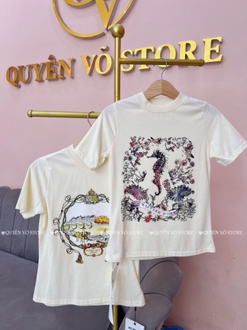 Áo thun cá ngựa - Form 40-55kg Babytee