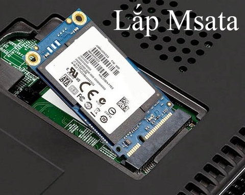 ổ cứng ssd msata