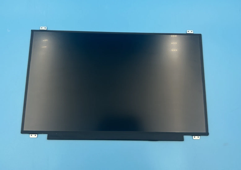 Màn hình laptop 17.3 inch FHD - N173HCE-E31