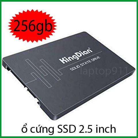 ssd 256gb kingdian