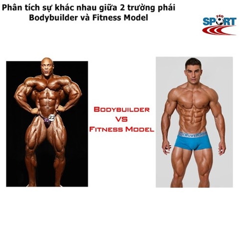 Phân tích sự khác nhau giữa 2 trường phái Bodybuilder và Fitness Model