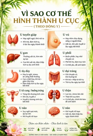U CỤC TRONG CƠ THỂ HÌNH THÀNH NHƯ THẾ NÀO? GIẢI PHÁP TỪ NATTO CODEN