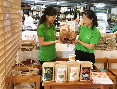 ĐỘT QUỴ Ở TUỔI TỨ TUẦN VÀ CÁCH PHÒNG CHỐNG
