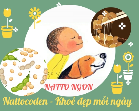 MÙI HƯƠNG CÓ 102 CỦA NATTO