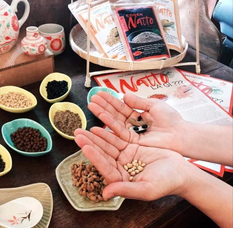 BÍ QUYẾT CHĂM SÓC SỨC KHỎE MÙA ĐÔNG CỦA NATTO CODEN