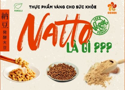 NATTO LÀ GÌ ?