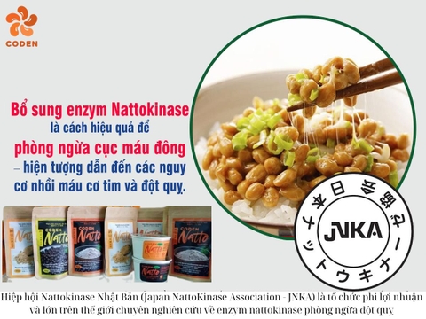 Chuyên gia Nhật nêu lý do enzym nattokinase làm tan cục máu đông