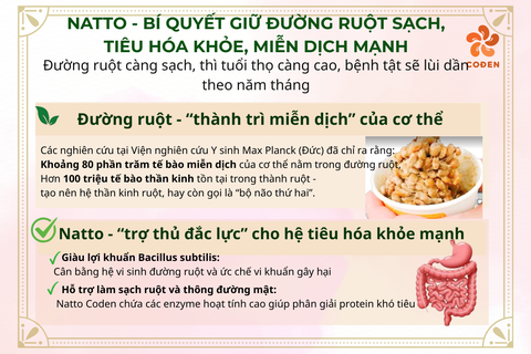 NATTO CODEN – BÍ QUYẾT GIỮ ĐƯỜNG RUỘT SẠCH, TIÊU HOÁ KHỎE, MIỄN DỊCH MẠNH