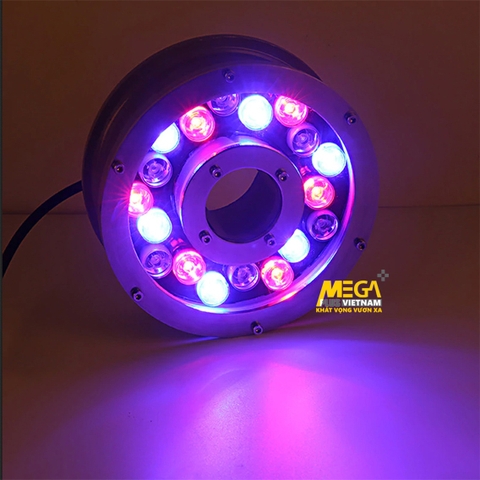Đèn âm nước đổi màu IP68 cao cấp 3W-36W cho đài phun nước