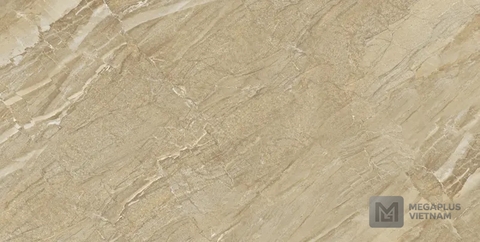 Gạch Porcelain MUX48005