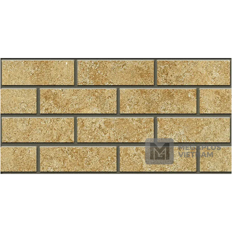 Gạch Ceramic CK25351