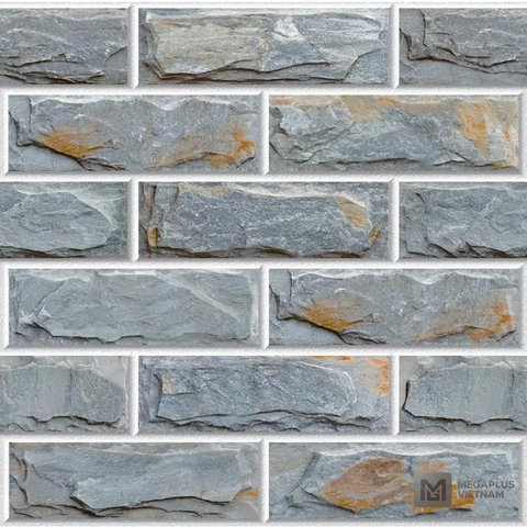 Gạch Ceramic VK4831